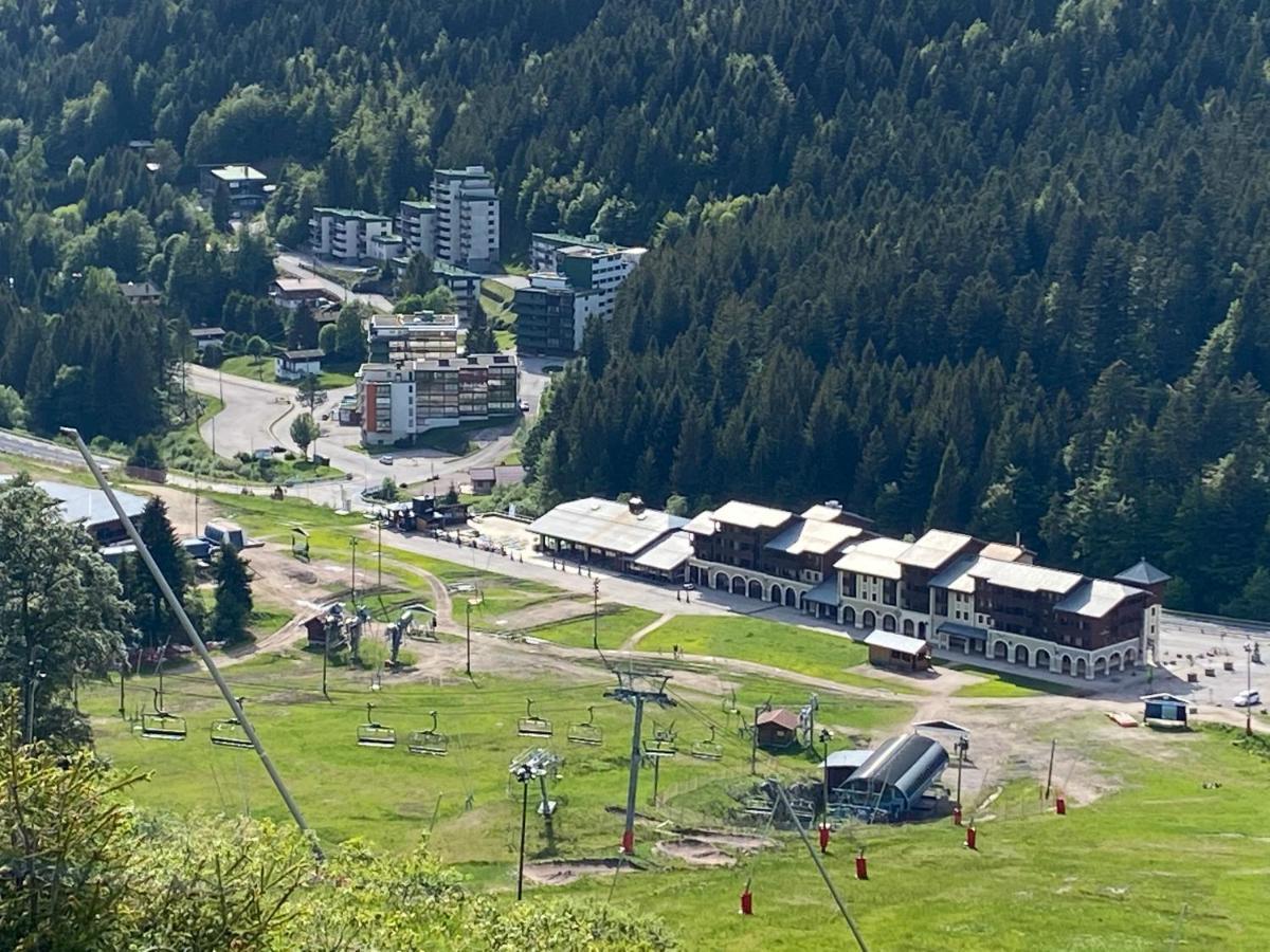 Residence Belle Hutte 2 La Bresse Exteriör bild